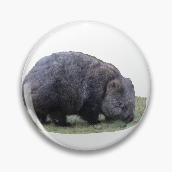 Item preview, Wombat grazing in the Cradle Mountains Tasmania designed and sold by jacquihmyart.