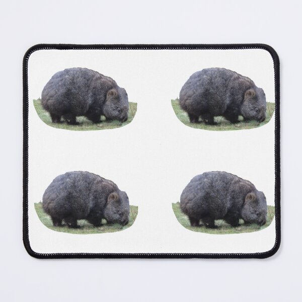 Item preview, Wombat grazing in the Cradle Mountains Tasmania designed and sold by jacquihmyart.