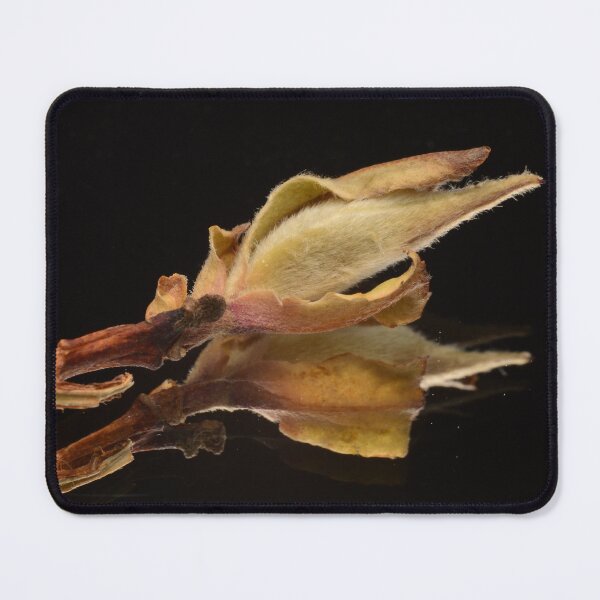 Item preview, Velvety Tea Bud – Pu-erh Close-Up designed and sold by Goiko7Margarita.