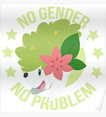 NO GENDER NO PROBLEM - Shaymin Land Form Poster