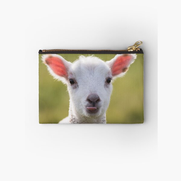 Item preview, Cheeky Lamb designed and sold by ccullen222.