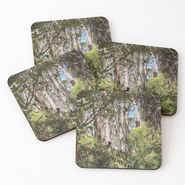 Item preview, Victorian bushland - Otways designed and sold by Georgia Ray.