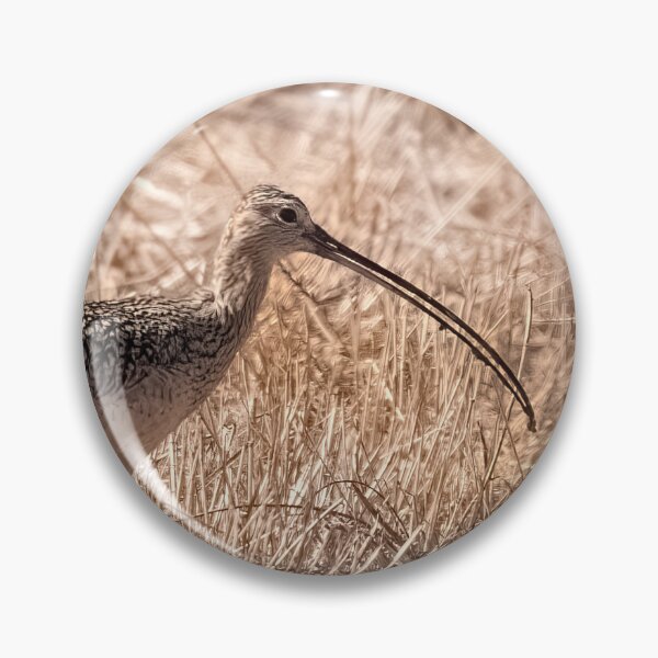Item preview, Long-billed Curlew designed and sold by CarolM.