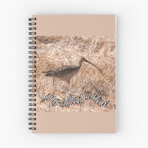 Item preview, Long-billed Curlew designed and sold by CarolM.