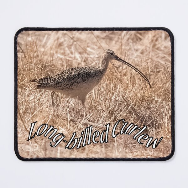 Item preview, Long-billed Curlew designed and sold by CarolM.