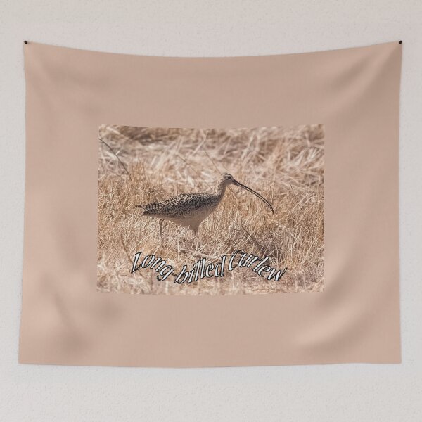 Item preview, Long-billed Curlew designed and sold by CarolM.