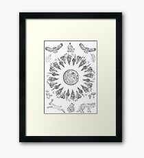 Forest Full Moon magic Framed Print