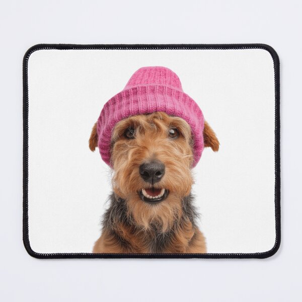 Item preview, Cozy Welsh Terrier dog Wearing Pink Winter Hat Trendy Animal Fashion Artwork designed and sold by LazyOwlStore.