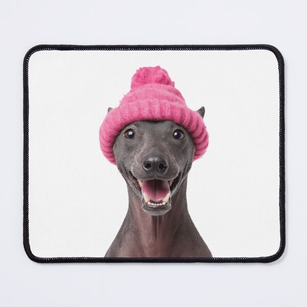Item preview, Cozy Xoloitzcuintli dog Wearing Pink Winter Hat Trendy Animal Fashion Artwork designed and sold by LazyOwlStore.
