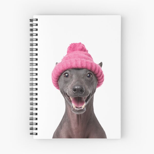 Item preview, Cozy Xoloitzcuintli dog Wearing Pink Winter Hat Trendy Animal Fashion Artwork designed and sold by LazyOwlStore.