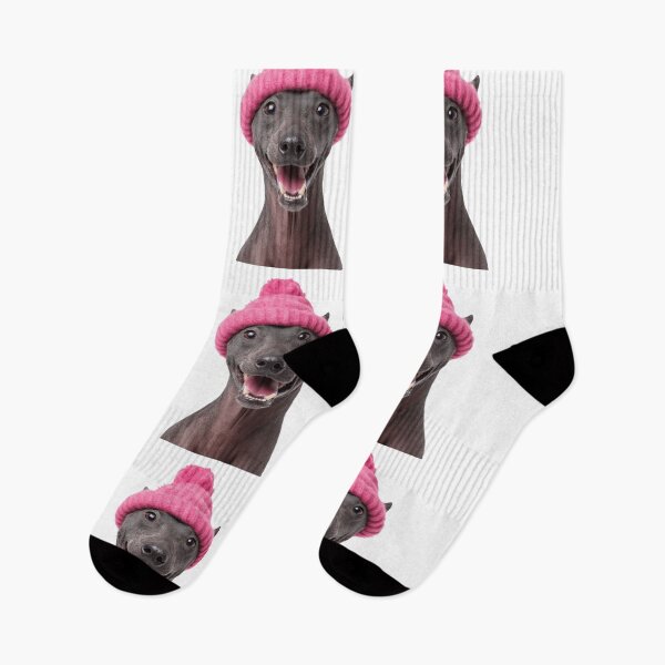 Item preview, Cozy Xoloitzcuintli dog Wearing Pink Winter Hat Trendy Animal Fashion Artwork designed and sold by LazyOwlStore.