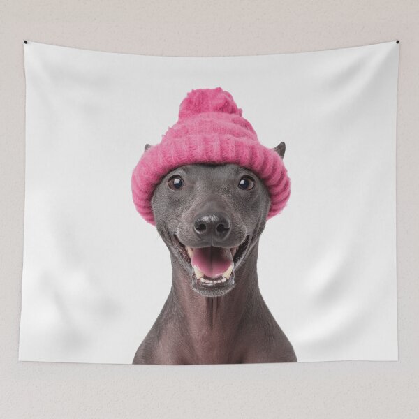 Item preview, Cozy Xoloitzcuintli dog Wearing Pink Winter Hat Trendy Animal Fashion Artwork designed and sold by LazyOwlStore.