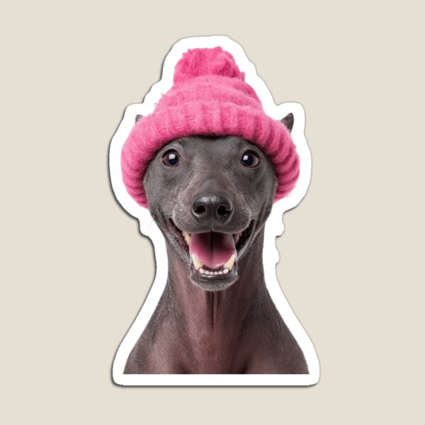 Item preview, Acogedor perro Xoloitzcuintli con sombrero rosa de invierno, obra de arte de moda animal de moda designed and sold by LazyOwlStore.