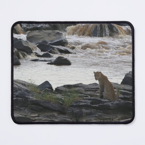 Item preview, Leopard at the River - Léopard à la rivière designed and sold by Yves Roumazeilles (Wild Focus).