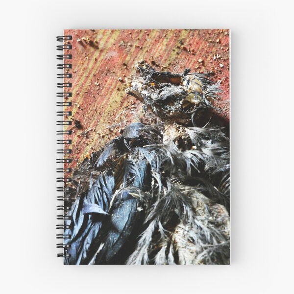 Item preview, 21.6.2025: Dead Bird On The Floor designed and sold by Petri Volanen.