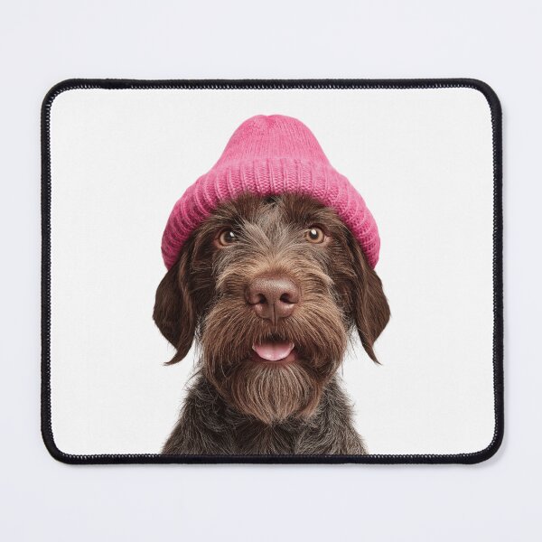 Item preview, Cozy Wirehaired Pointing Griffon dog Wearing Pink Winter Hat Trendy Animal Fashion Artwork designed and sold by LazyOwlStore.