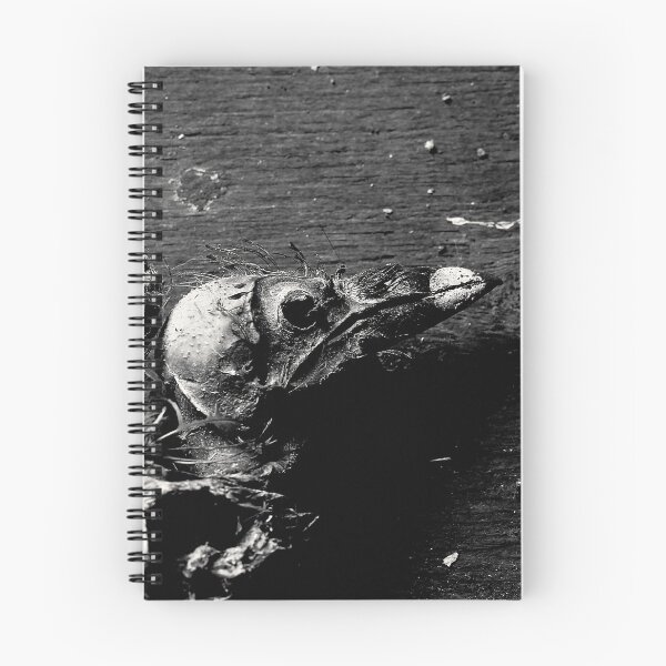 Item preview, 21.6.2025: Dead Bird On The Floor II designed and sold by Petri Volanen.