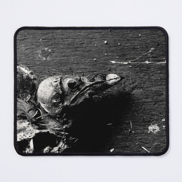 Item preview, 21.6.2025: Dead Bird On The Floor II designed and sold by Petri Volanen.