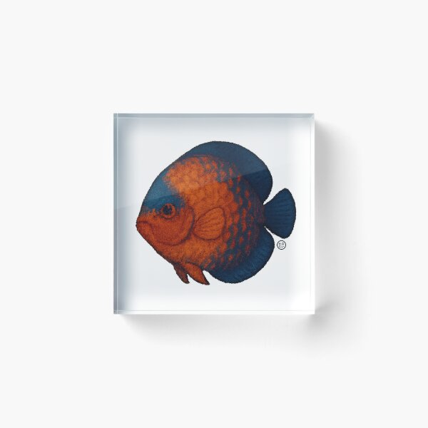 Item preview, Discus Fish - Chunky Style - Amazon Fish - Unimpressed Fish - Red designed and sold by Kabuji Store.