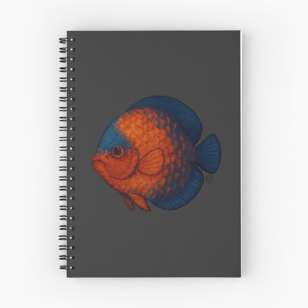 Item preview, Discus Fish - Chunky Style - Amazon Fish - Unimpressed Fish - Red designed and sold by Kabuji Store.