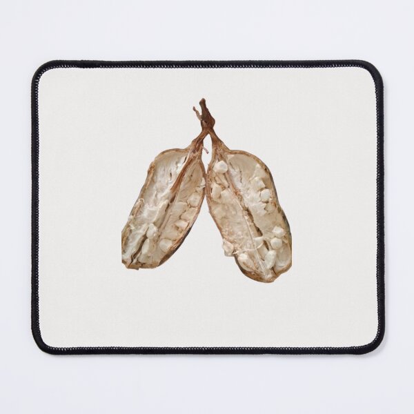 Item preview, Baobab Boost: Nature’s Superfruit designed and sold by annenambiro.