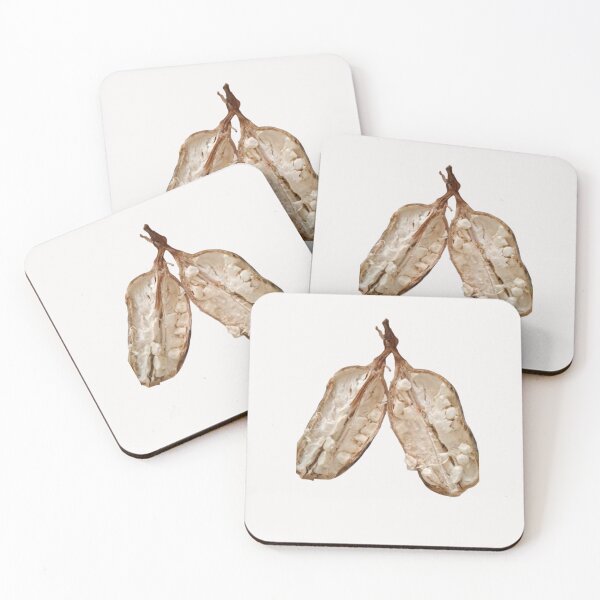 Item preview, Baobab Boost: Nature’s Superfruit designed and sold by annenambiro.