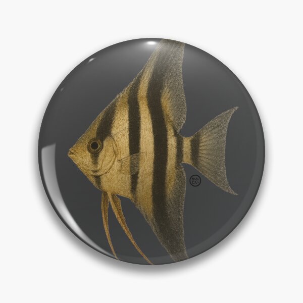 Item preview, Angelfish - Vintage Japanese Style - Common Angel Fish designed and sold by Kabuji Store.