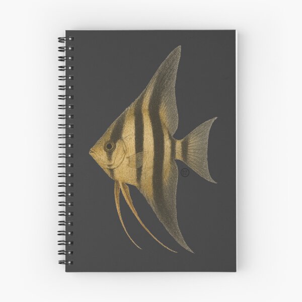 Item preview, Angelfish - Vintage Japanese Style - Common Angel Fish designed and sold by Kabuji Store.