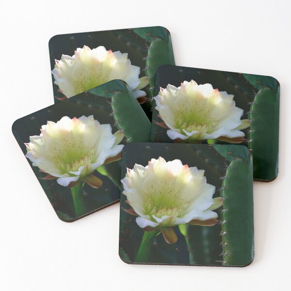 Item preview, Cereus Jamacaru Bloom designed and sold by MercerImages.
