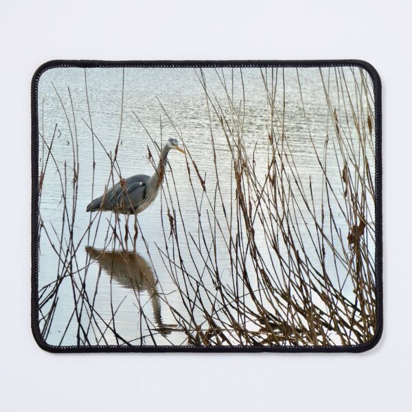 Item preview, Heron walking in the reeds designed and sold by penguinblue.