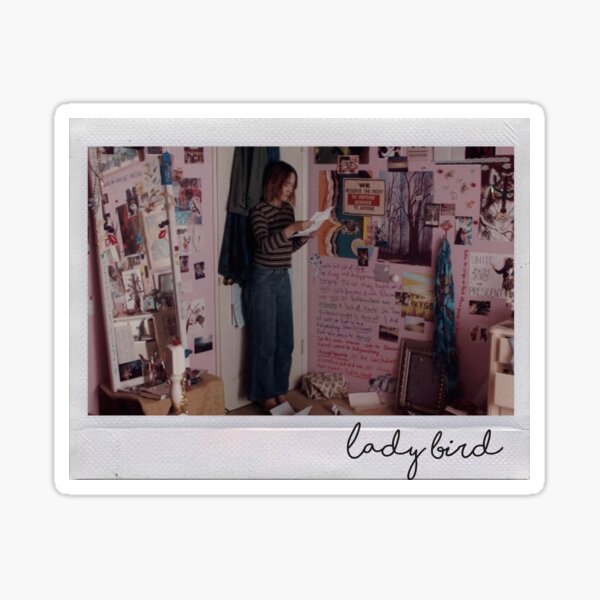 ladybird polaroid I Sticker
