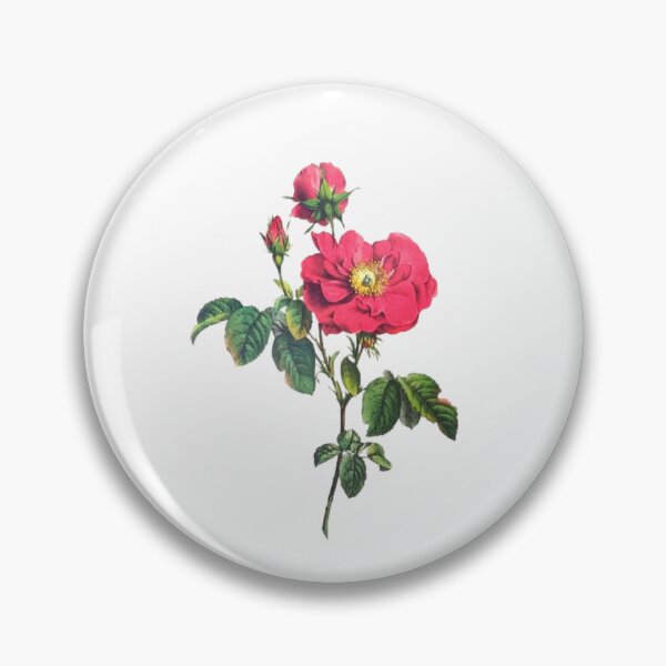 Item preview, Damask Rose designed and sold by AnthonyThomas.