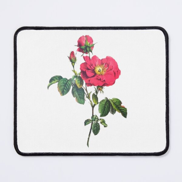 Item preview, Damask Rose designed and sold by AnthonyThomas.