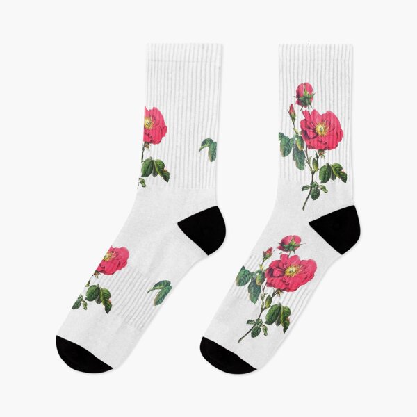 Item preview, Damask Rose designed and sold by AnthonyThomas.