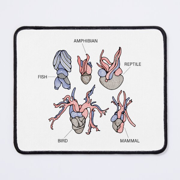 Item preview, Different hearts designed and sold by alina-k-design.