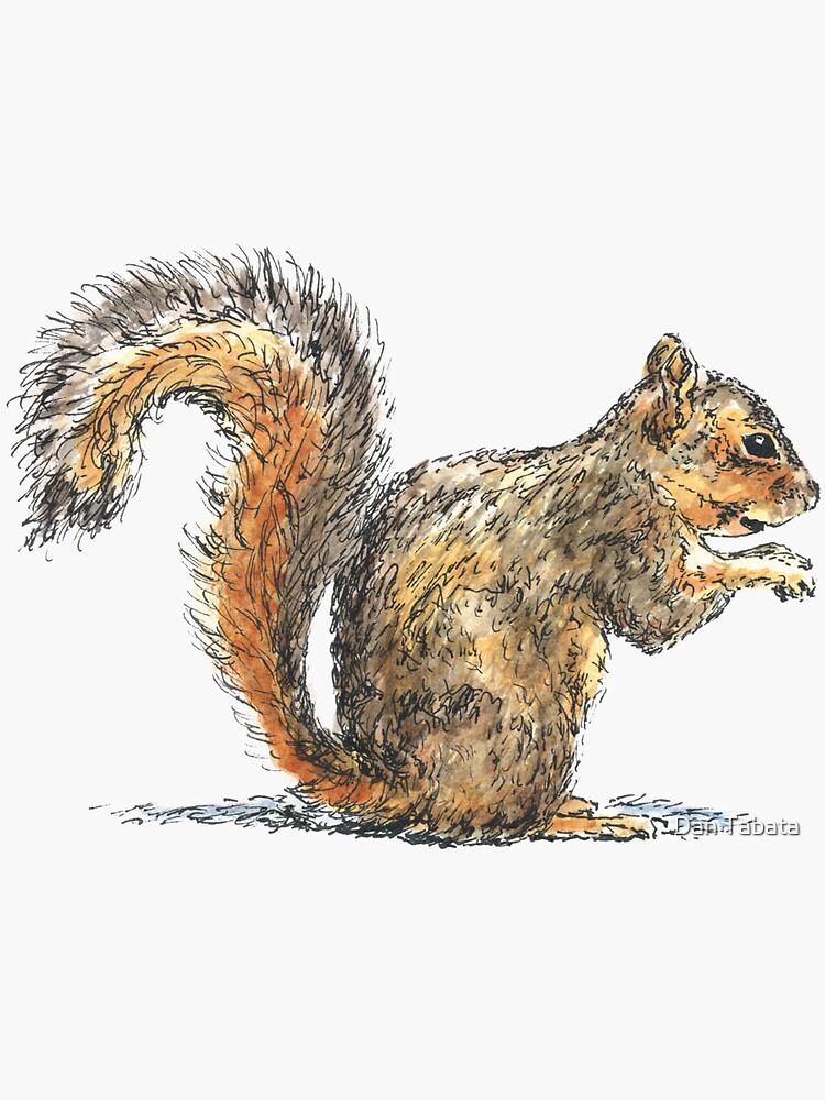 Sitting Squirrel by dmtab