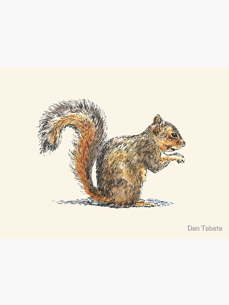 Sitting Squirrel by dmtab