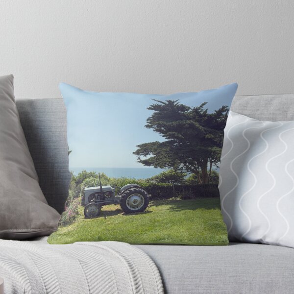 Artikelvorschau, Oldtimer-Ferguson-Traktor in Cornwall entworfen und verkauft von kathleenjean.