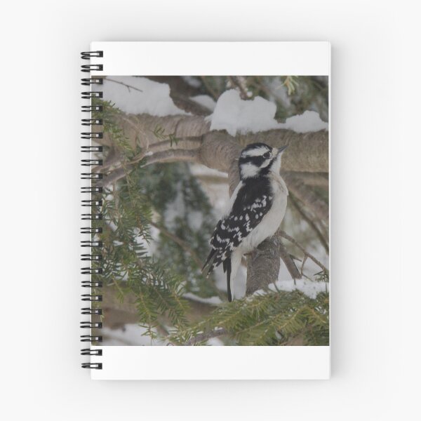 Item preview, Downy woodpecker on tree designed and sold by amzani.
