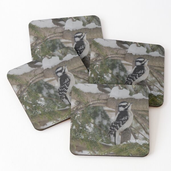 Item preview, Downy woodpecker on tree designed and sold by amzani.
