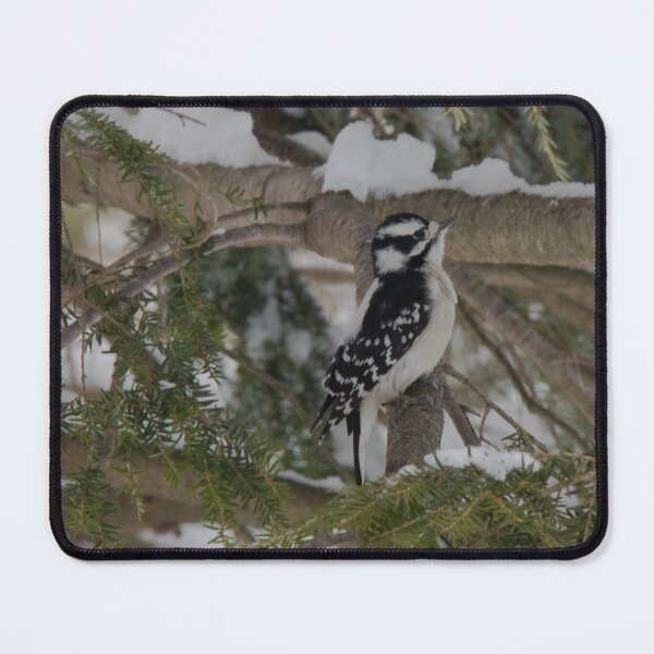 Item preview, Downy woodpecker on tree designed and sold by amzani.