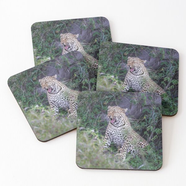 Item preview, Leopard Emerges from a Cave Masai Mara Kenya designed and sold by PhotoArt by Joan Carroll.