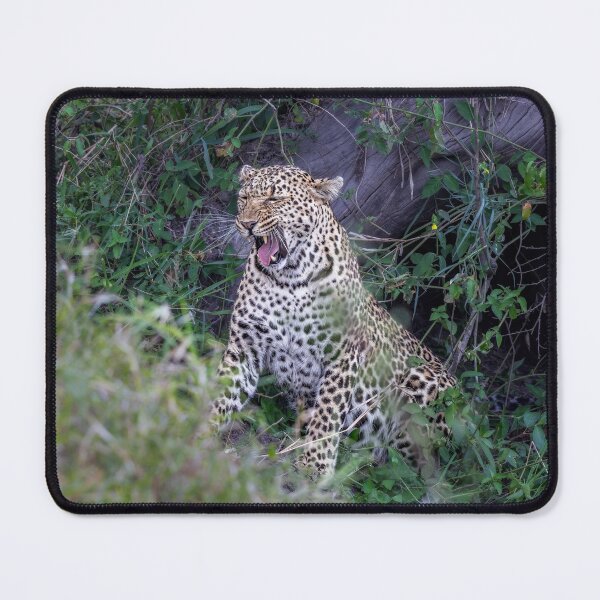 Item preview, Leopard Emerges from a Cave Masai Mara Kenya designed and sold by PhotoArt by Joan Carroll.