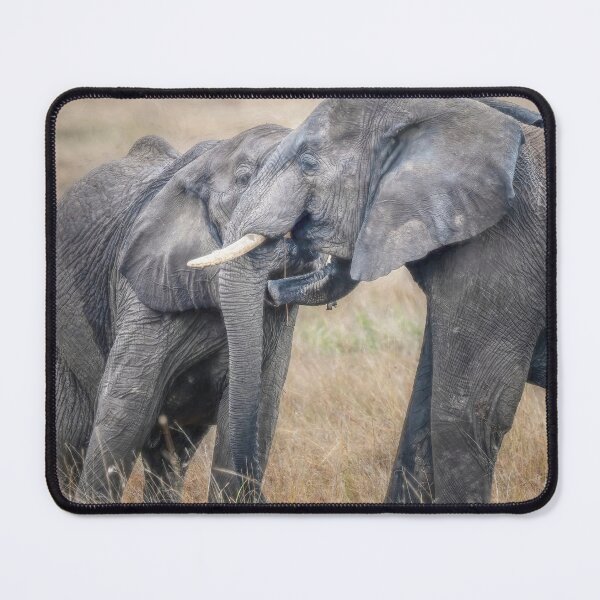 Item preview, A Tangle of Trunks Masai Mara Kenya designed and sold by PhotoArt by Joan Carroll.