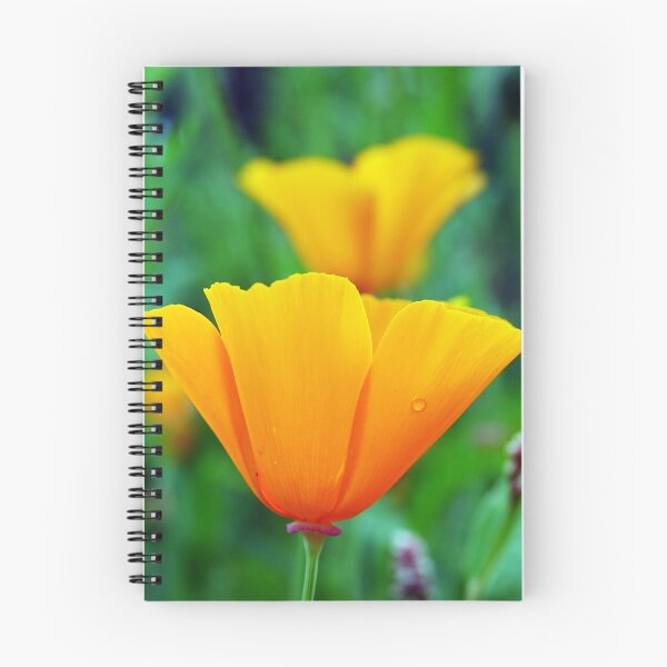 Item preview, California Poppies designed and sold by Barrie Woodward.
