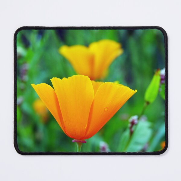 Item preview, California Poppies designed and sold by Barrie Woodward.