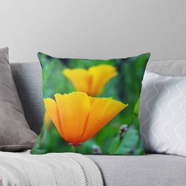 Item preview, California Poppies designed and sold by Barrie Woodward.