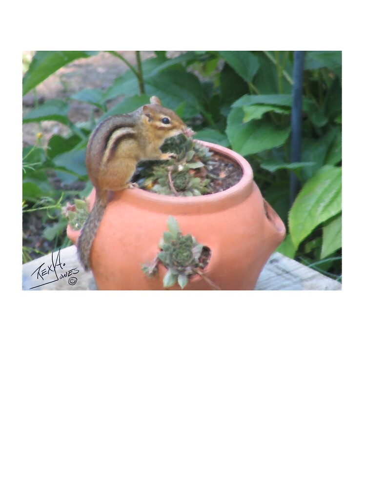 Thumbnail 2 of 2, Baby One-Piece, Digital painting of a chipmunk on a strawberry pot. designed and sold by Krazy-Kartwonz.