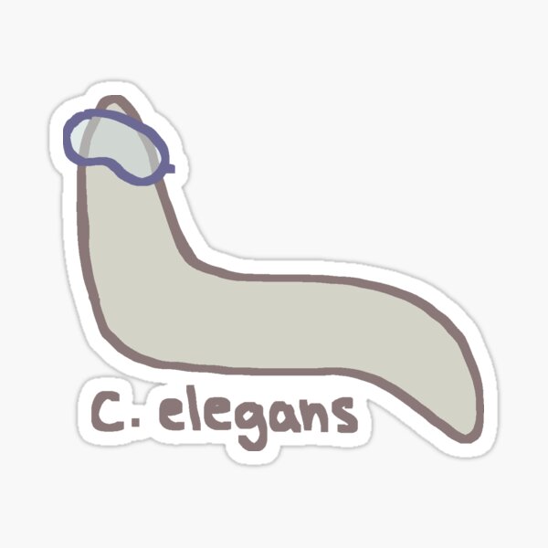 Artikel-Vorschau von C. elegans, designt und verkauft von squidberry.