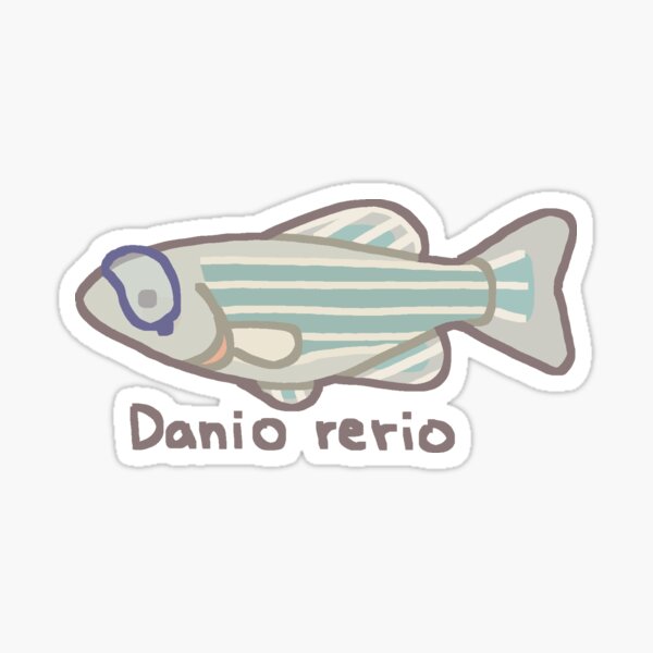 Artikel-Vorschau von Danio rerio, designt und verkauft von squidberry.